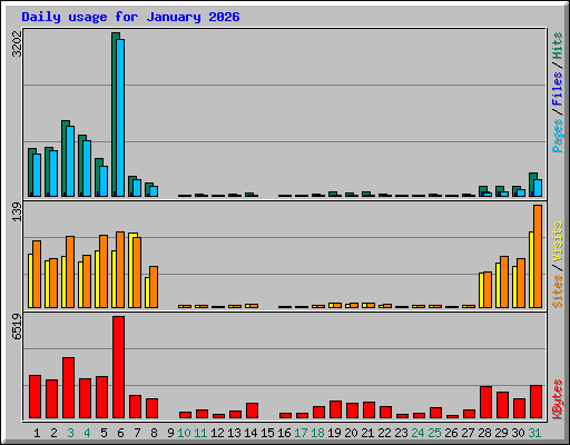 Daily usage for January 2026