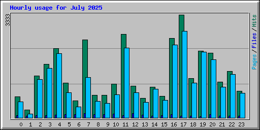 Hourly usage for July 2025
