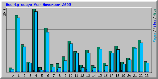 Hourly usage for November 2025